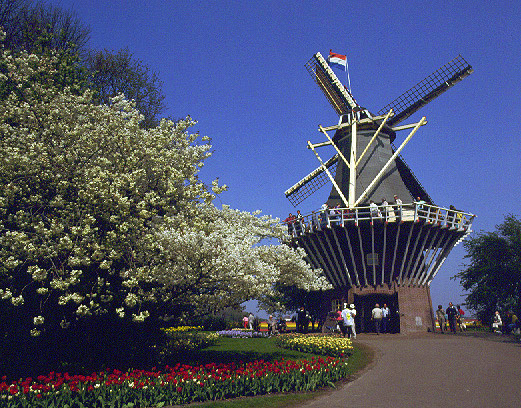 オランダ1